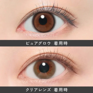 ReVIA 1Day – Pure Glow 日拋 每盒10片